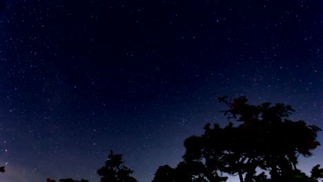 Timelapse-of-moving-star-trails-in-night-sky