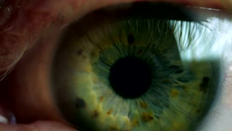 Green-iris-human-eye