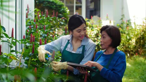 Mujeres-viendo-Tutorial-jardinería