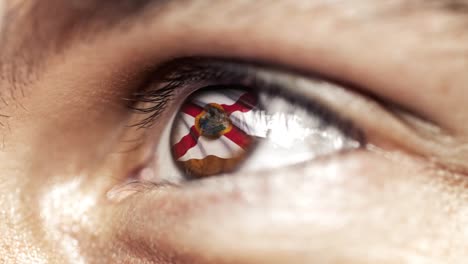 Hombre-con-el-ojo-marrón-de-cerca,-la-bandera-del-estado-de-Florida-en-iris,-estados-unidos-de-América-con-movimiento-de-viento.-concepto-de-vídeo