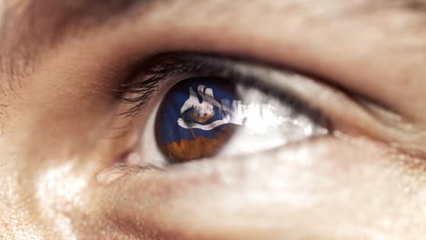 Man-with-brown-eye-in-close-up,-the-flag-of-Louisiana-state-in-iris,-united-states-of-america-with-wind-motion.-video-concept