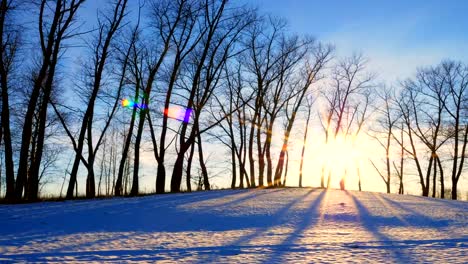 Puesta-de-sol-en-el-bosque-invernal