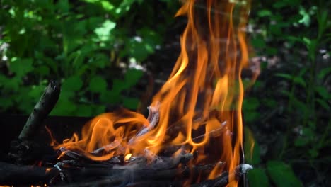 Rote-Flamme-eines-sterbenden-Feuers-an-einem-Sommertag.-Slow-motion