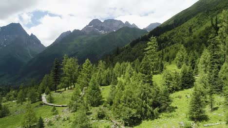 Drone-volando-en-la-quebrada-con-bosque-de-montaña-y-pino-de-la-nieve