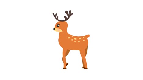 Cartoon-deer-walking-animation-with-optional-luma-matte.-Alpha-Luma-Matte-included.-4k-video