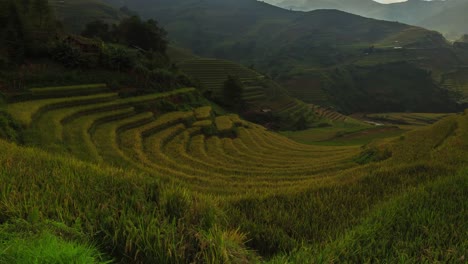 Arrozales-en-terrazas-de-Mu-Cang-Hai,-YenBai,-Vietnam.-Campos-de-arroz-preparan-la-cosecha-en-el-noroeste-Vietnam.Vietnam-paisajes.