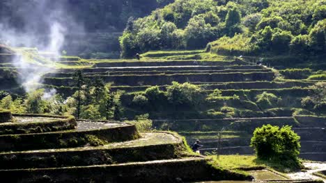 Terrazas-de-arroz,-quema-de-granja-manur-4K-de-lapso-de-tiempo