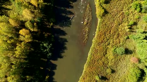 Vista-aérea-del-material-de-archivo-de-Drone:-Vuelo-otoño-montañas-y-pequeños-ríos-con-bosques-en-luz-suave-del-amanecer.-Majestuoso-paisaje.