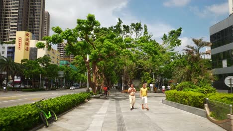 sunny-day-zhuhai-city-sidewalk-slow-motion-walking-panorama-4k-china