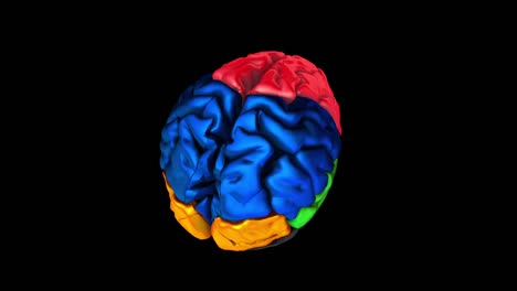 3d-animation-of-the-various-colored-parts-of-the-brain---Frontal-lobe