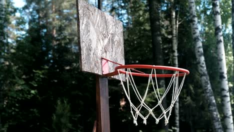 Aro-de-baloncesto-en-el-parque-entre-el-primer-plano-de-árboles.