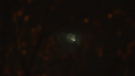 A-Realtime-Shot-of-the-Moon-at-Night