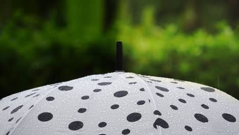 Polka-Dot-Schirm-im-Regen,-Risiko-Management-Konzept.