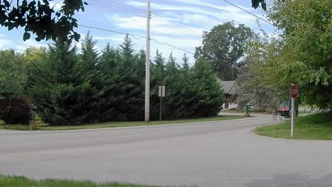 Amish-Transportation-Type-Horse-and-Buggy