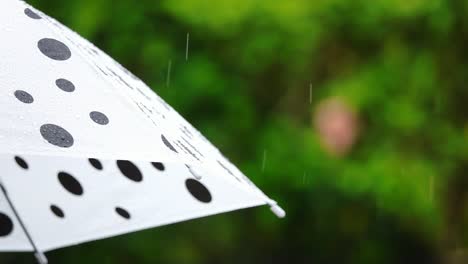 Polka-dot-umbrella-in-the-rain,risk-management-concept.