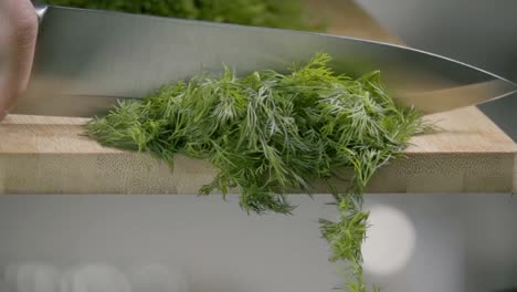 Falling-of-dill-into-the-frying-pan.-Slow-motion-480-fps