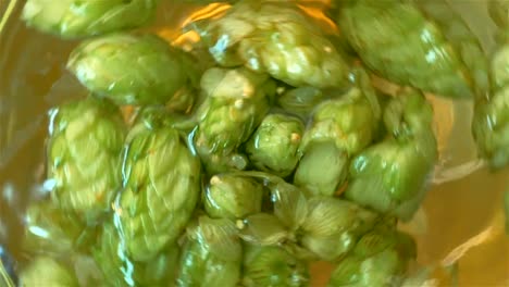 Swirl-of-water-with-hops-in-slow-motion-180fps