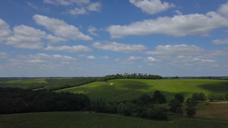 Aerial-view-beautiful-landscape-Bordeaux-Vineyard-at-sunrise,film-by-drone-in-summer