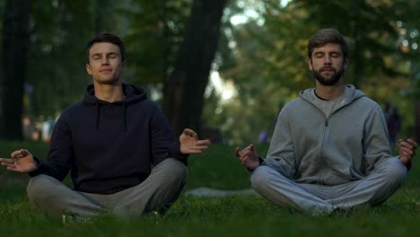 Amigos-sentados-en-posición-de-loto-practicando-yoga-en-el-parque-de-la-ciudad,-meditación