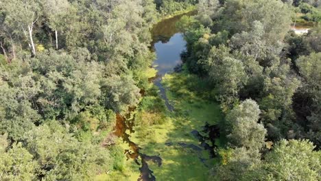 Flussbett---Draufsicht-von-Drohne