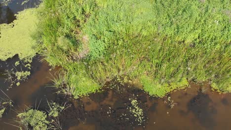 River-Bed---top-view-from-drone