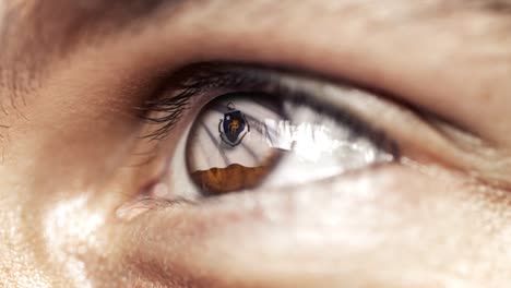 Man-with-brown-eye-in-close-up,-the-flag-of-Massachusetts-state-in-iris,-united-states-of-america-with-wind-motion.-video-concept