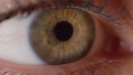 SLOW-MOTION-CLOSE-UP:-Detailed-view-of-beautiful-green-eye-with-brown-streaks.