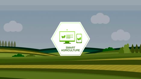 Intelligente-Landwirtschaft-Smart-Farming,-Sechseck-Grafik-Informationssymbol-auf-grünen-Gerstenfeld,-Internet-der-Dinge.-4.-industrielle-Revolution.2.