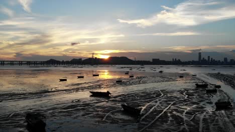 pak-nai-mudflat-in-hong-kong-with-the-shenzhen-china-skyline