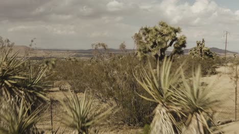 Flying-into-the-desert-over-a-horse-cart-on-a-windy-day