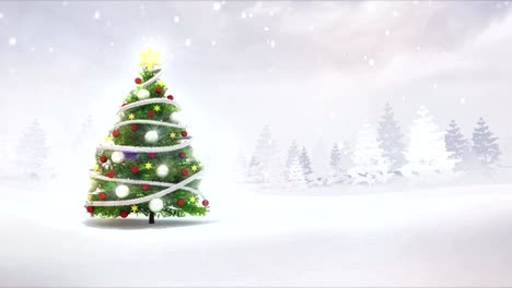 Christmas-tree-in-winter-nature-scenery-revelation-footage