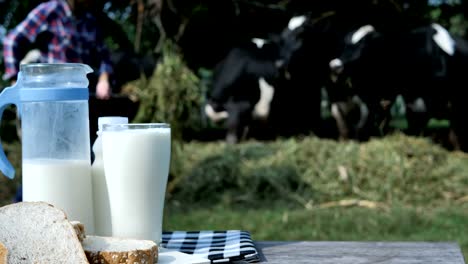 Milch-im-Glas-und-Brot-Frühstück-Morgen.--Hintergrund-der-Milchkühe-in-einem-Bauernhof.-Lebensmittel-und-gesunde-Milch-Konzept.-Slow-Motion