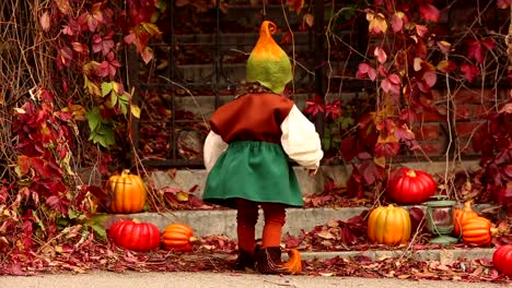 A-little-girl-in-a-medieval-gnome-costume-touches-the-leaves-of-a-red-vine-plant