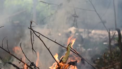 Orange-color-fire-flame-with-gray-and-black-color-smoke-from-burning-sticks