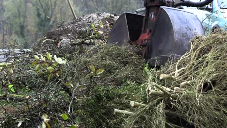 excavator-bucket-lifts-sawed-trees