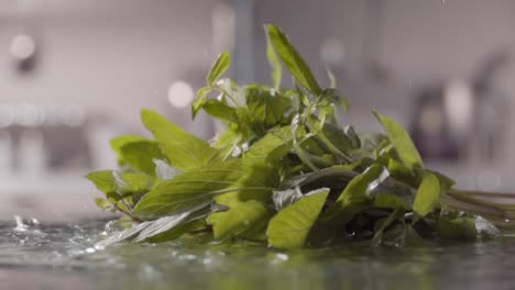 Falling-of-mint-into-the-wet-table.-Slow-motion-480-fps