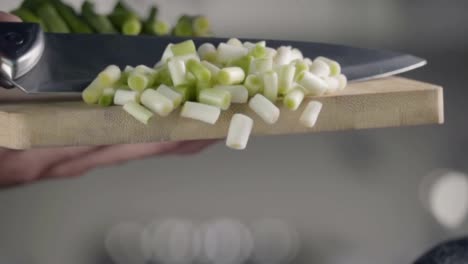 Falling-of-green-onion-into-the-frying-pan.-Slow-motion-480-fps