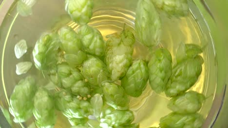 Swirl-of-water-with-hops-in-slow-motion-180fps