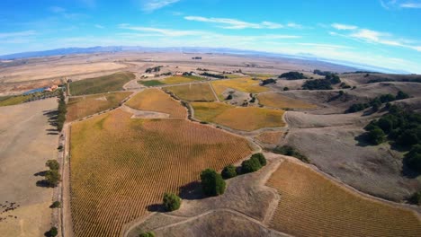 Sonoma-County-viñedos-California-vista-aérea