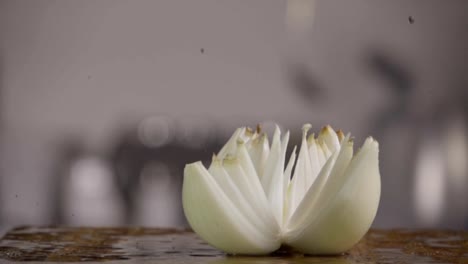 Falling-of-white-onion-into-the-wet-table.-Slow-motion-480-fps