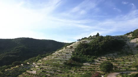 Cemetery-in-asia