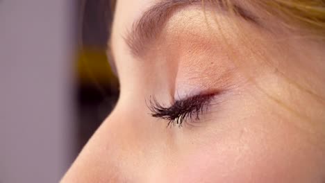 Das-Make-up-Artist-Mascara-auftragen