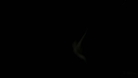 white-smoke-with-bright-scraps-on-black-isolated-background.-Great-for-overlay-in-a-video-editor