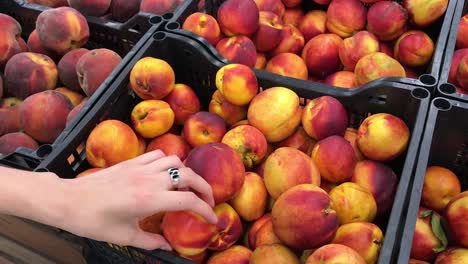 Frau-Kommissionierung-Pfirsiche-im-Supermarkt