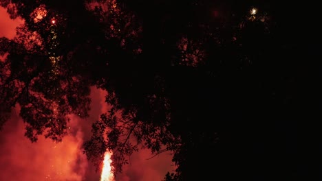 Fireworks-exploding-in-the-night-sky-seen-through-the-trees-in-slow-motion