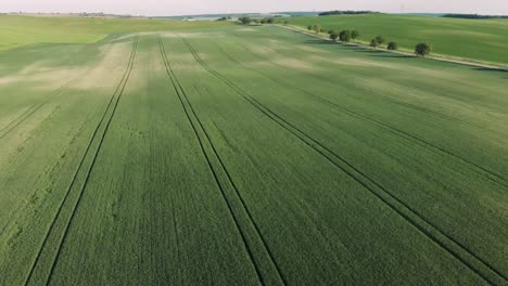 Verdes-campos-en-Moravia,-República-Checa-verde-campos-en-Moravia,-República-Checa-campos-verdes-en-Moravia,-República-Checa