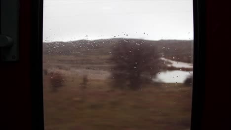 Nature-View-From-Moving-Train