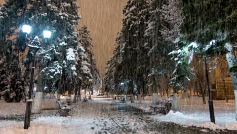 Nacht-Winterpark-mit-Regen