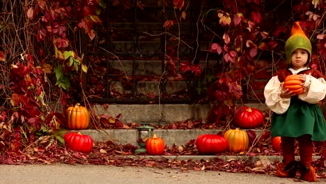 Linda-chica-en-el-traje-del-gnomo-camina-en-el-jardín-cerca-de-las-calabazas-y-plantas-rojas