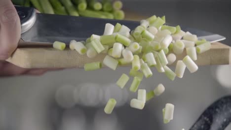 Falling-of-green-onion-into-the-frying-pan.-Slow-motion-480-fps